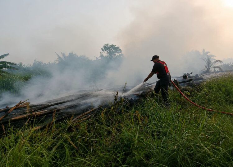 Petugas memadamkan kebakaran lahan di sebuah titik kebakaran di Dharmasraya. Foto: Pemkab Dharmasraya
