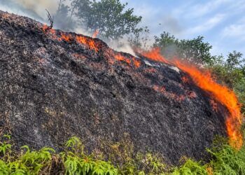 262 Titik Panas Terdeteksi di Sumbar Sepekan Terakhir, Dishut Klaim Kabut Asap Didominasi Kiriman Provinsi Tetangga