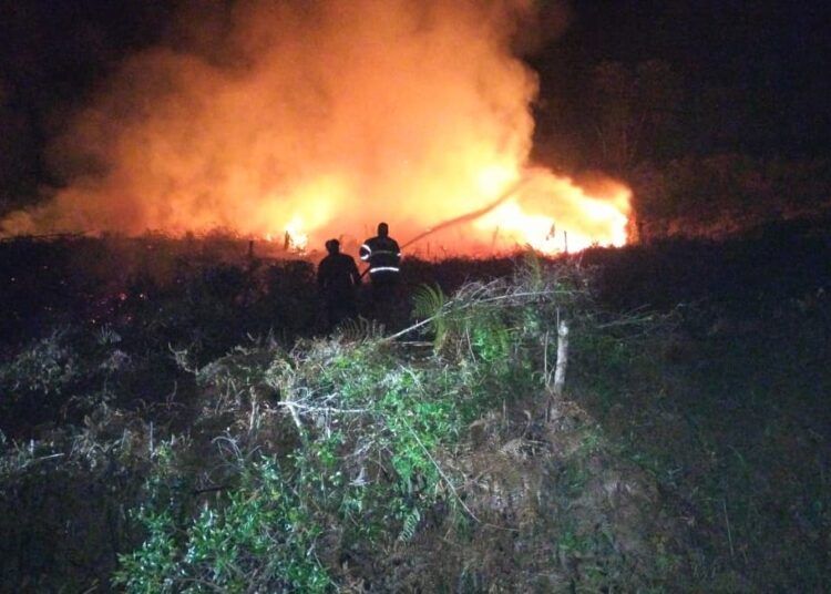 Petugas gabungan memadamkan api yang membakar lahan kosong milik warga di Jorong Taratak, Nagari Sarilamak, Kecamatan Harau, Kabupaten Lima Puluh Kota, Rabu (9/9/2026) dini hari.