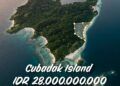 17 Hektare Tanah di Pulau Cubadak Pesisir Selatan Dijual Rp28 Miliar di Instagram
