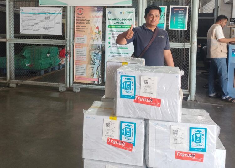 Ilham menyiapkan jengkol hasil produksi petani Sumatera Barat sebelum dikirim ke Jepang.