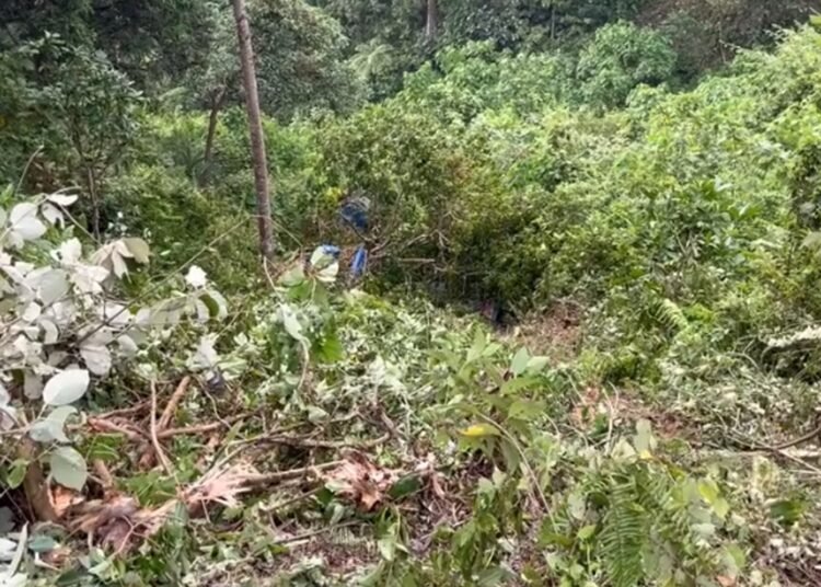 Truk pengangkut CPO jatuh ke jurang di sekitar tikungan Kelok Jariang, Bungus Teluk Kabung, Kota Padang, Selasa (15/9/2026).