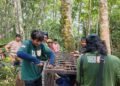 Beruang Madu Serang Warga di Pasaman, BKSDA Pasang Kandang Jebak