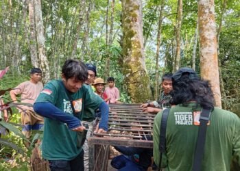 Beruang Madu Serang Warga di Pasaman, BKSDA Pasang Kandang Jebak
