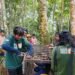 Beruang Madu Serang Warga di Pasaman, BKSDA Pasang Kandang Jebak