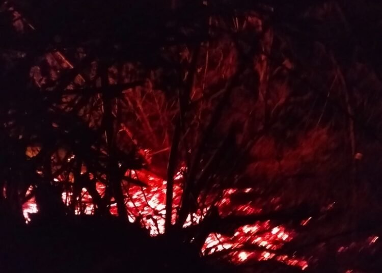 Lahan kosong seluas sekitar 5.000 meter persegi terbakar di Jorong Lubuak Jantan, Nagari Gurun Bio-Bio, Kecamatan Harau, Kabupaten Lima Puluh Kota, Sumatera Barat, pada Kamis (17/9/2026) malam.