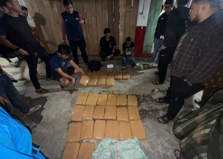 Petugas BNNP Sumbar mengamankan barang bukti hampir 30 kilogram ganja kering dalam pengungkapan kasus pengiriman narkotika dari Mandailing Natal, Sumatera Utara, menuju Padang Panjang, Selasa (15/9/2026).