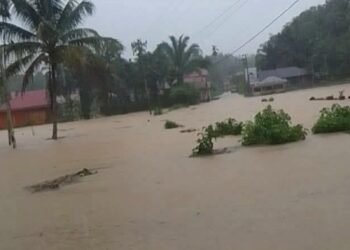 Sungai Meluap, Belasan Rumah di Pasaman Terendam Banjir