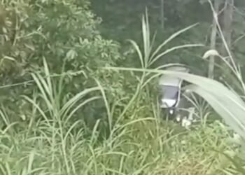 Sebuah Minibus Terjun ke Jurang di Tanah Datar, Begini Kondisi Sopir