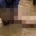 Seorang Korban Banjir Bandang Solok Ditemukan Tewas di Sungai, Ini Identitasnya