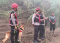 K9 Dikerahkan Cari Agusral Korban Banjir Bandang Solok, Barang Korban Ditemukan di Bawah Kayu