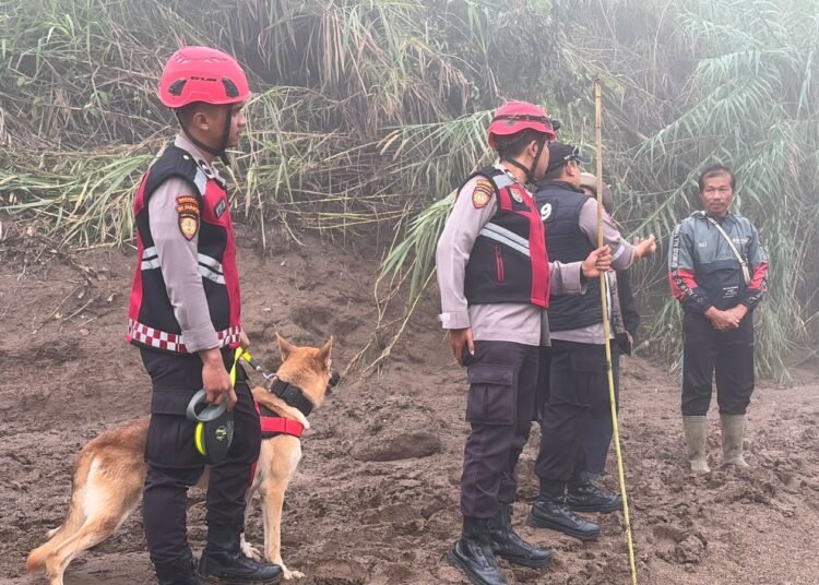 Pencarian Agusral juga melibatkan Unit Polsatwa Ditsamapta Polda Sumbar. Tim khusus pencarian dan penyelamatan tersebut diterjunkan untuk menyisir kawasan terdampak air bah mulai dari belakang Kantor Bupati Solok.