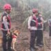 K9 Dikerahkan Cari Agusral Korban Banjir Bandang Solok, Barang Korban Ditemukan di Bawah Kayu
