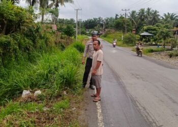 Seorang Pejalan Kaki Tewas Tertabrak Truk di Pasaman Barat