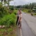 Seorang Pejalan Kaki Tewas Tertabrak Truk di Pasaman Barat
