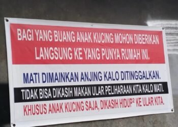Spanduk di Padang Minta Anak Kucing untuk Pakan Ular Viral di Media Sosial