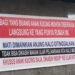 Spanduk di Padang Minta Anak Kucing untuk Pakan Ular Viral di Media Sosial
