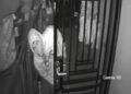 CCTV Rekam Sosok Pria di Rumah Lansia yang Ditemukan Tewas di Solok Selatan