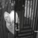 CCTV Rekam Sosok Pria di Rumah Lansia yang Ditemukan Tewas di Solok Selatan