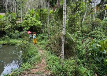 Puluhan Tahun Tanpa Listrik, Sembilan Rumah di Tanah Datar Masih Andalkan Jalan Setapak