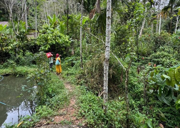 Akses jalan menuju sembilan rumah di Jorong Mawar II, Nagari Lubuak Jantan, Kecamatan Lintau Buo Utara, Kabupaten Tanah Datar, masih berupa jalan setapak tanah.