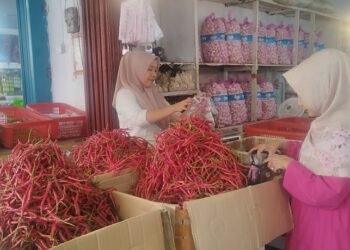 Inflasi Sumbar September 2026 Naik 0,60 Persen, Harga Cabai Merah Jadi Penyumbang Terbesar