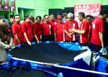 Koi, Bonsai, dan Tanaman Hias Meriahkan Sumbar Koi Show 2026