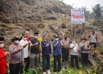 Bekas Karhutla Ditanami Sawit, Pemkab Dharmasraya Perkuat Pengawasan Kawasan Hutan