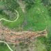 Deforestasi oleh Sawit di Sumbar Tembus 354 Ribu Hektare, Tak Sebanding dengan Perolehan Pajak