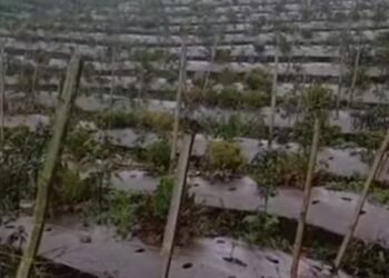 Gunung Marapi Erupsi Lagi, Hujan Abu Guyur Sejumlah Wilayah di Tanah Datar