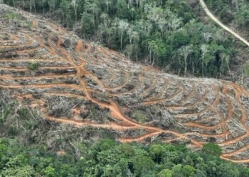Silih Berganti Kapolda Sumbar, WALHI Soroti Penegakan Hukum Tambang Ilegal dan Pembalakan Liar