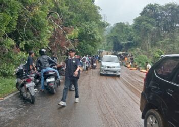 Truk CPO Terguling Saat Menanjak di Pesisir Selatan, Jalan Padang-Painan Terganggu