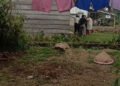 Video: Emak-emak di Solok Selatan Cekcok hingga Berujung Saling Jambak