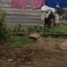 Video: Emak-emak di Solok Selatan Cekcok hingga Berujung Saling Jambak