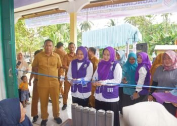 Pariaman Luncurkan Posyandu 6 SPM, Pelayanan Warga Kini Mencakup Enam Bidang