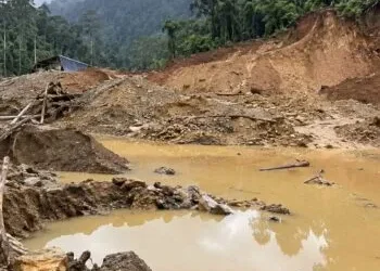 4 Orang Tewas Tertimbun Longsor di Solok Selatan, WALHI Soroti Dugaan Pembiaran Tambang Emas Ilegal