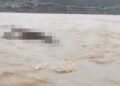 Video: Warga Temukan Mayat Telungkup di Tepi Sungai Pasaman Barat