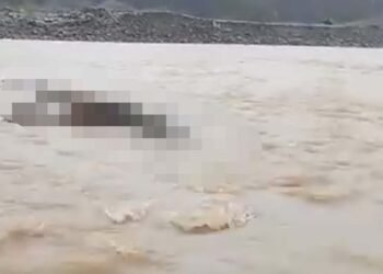 Video: Warga Temukan Mayat Telungkup di Tepi Sungai Pasaman Barat