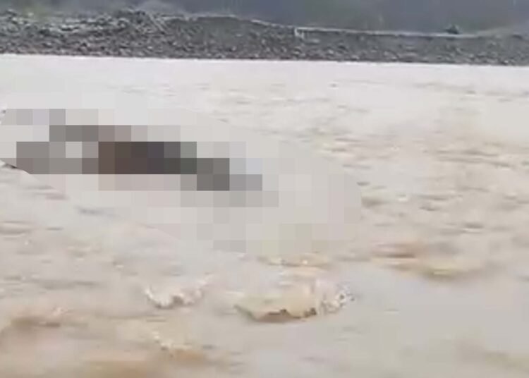 Warga menemukan mayat tanpa identitas di tepi sungai Kampung Bukik, Nagari Aia Gadang, Pasaman Barat, Jumat (9/10/2026).