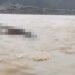 Video: Warga Temukan Mayat Telungkup di Tepi Sungai Pasaman Barat