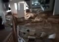 Video: Detik-Detik Banjir Masuk ke Rumah Warga di Perumahan Mewah Padang