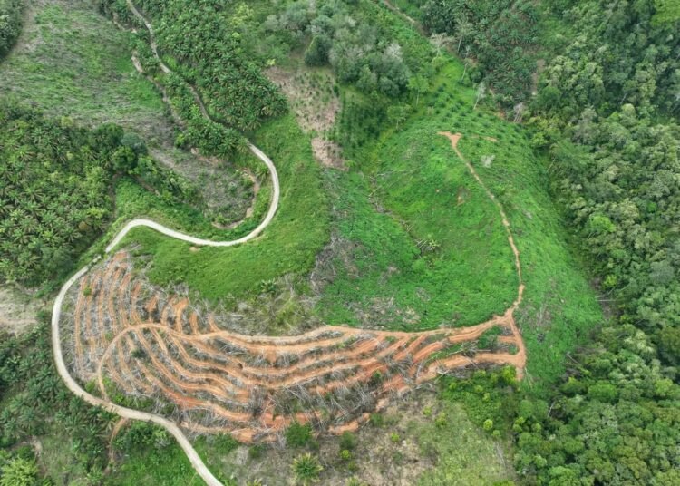 Pembukaan tutupan lahan di kawasan hulu DAS Air Dingin, Kota Padang, menjadi sorotan WALHI Sumbar