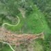 Hutan Lindung di DAS Padang Dibuka untuk Lapangan Golf, Disebut Libatkan Mantan Wali Kota