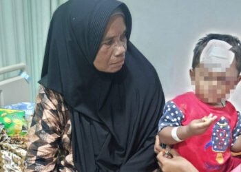 Tiga Anak Digigit Anjing Gila di Lima Puluh Kota, Satu Masih Dirawat