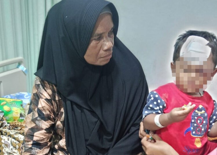 Abiza (2), salah seorang anak yang digigit anjing gila di Jorong Batu Balabuah I, Nagari Sungai Naniang, Kecamatan Bukik Barisan, Kabupaten Lima Puluh Kota, masih menjalani perawatan di RSUD Ahmad Darwis Suliki.