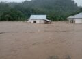 2 Rumah Hanyut, 16 Rusak Berat dan Ribuan Orang Terdampak Akibat Banjir di Pesisir Selatan