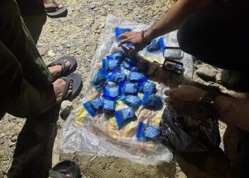 Jual Ganja kepada Anak Sekolah, Bandar Narkoba di Dharmasraya Ditangkap, 22 Paket Disita