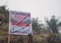 Lahan Bekas Karhutla 5,9 Hektare di Dharmasraya Ditanami Sawit, Dinas Kehutanan Akui Kecolongan