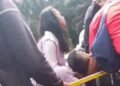 Niat Antarkan Makanan, Anak di Agam Dapati Ayahnya Tewas Tertimpa Kayu Saat Kerja