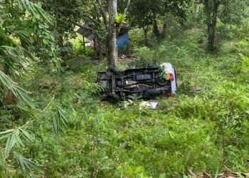 Video: Mobil Masuk Jurang Usai Tabrak Pemotor di Pesisir Selatan